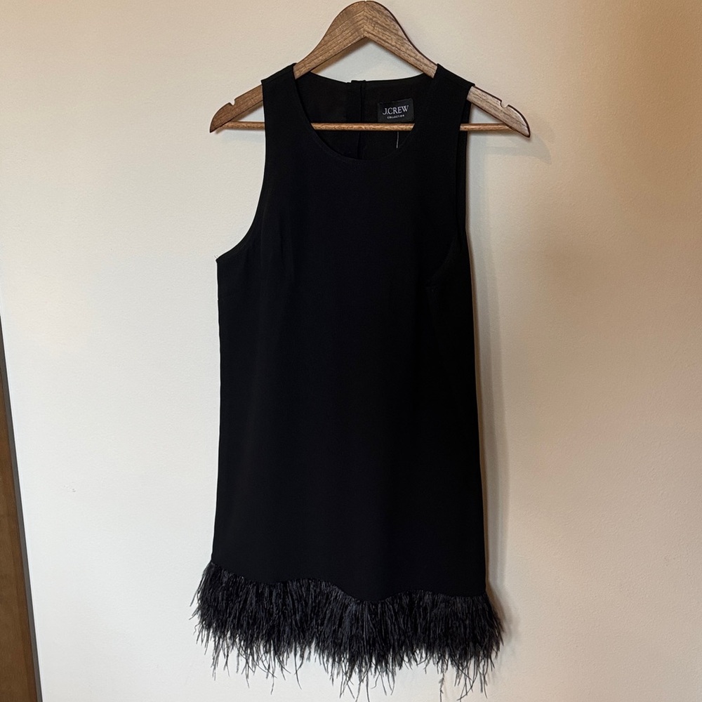 J. Crew Black Dress with Feather Detail